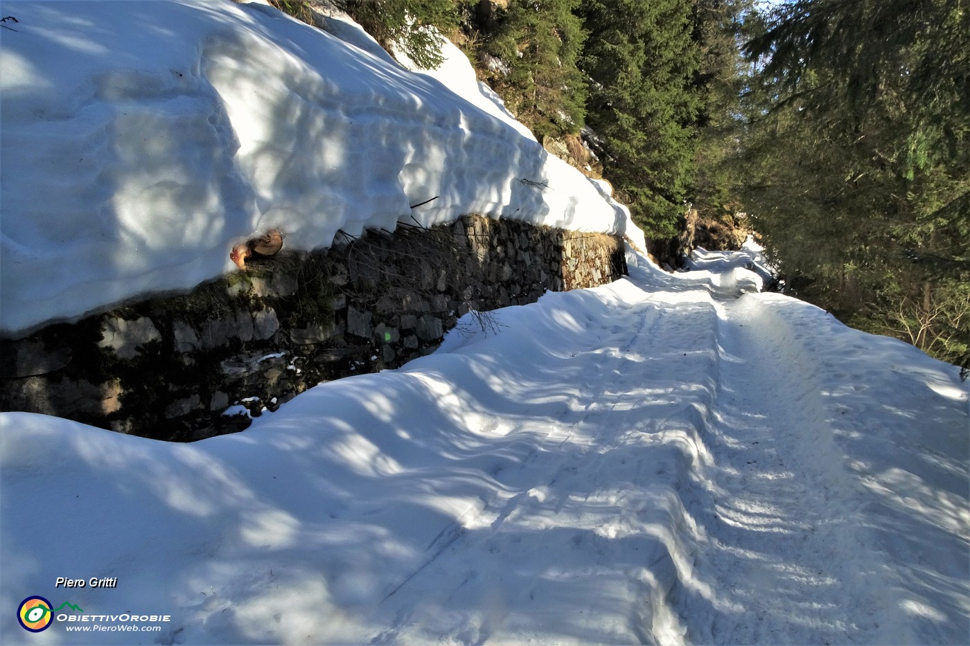 19 Percorso ben tracciato nella neve piuttosto dura.JPG
